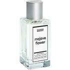 Mojave Flower by Modern Memory