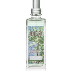 Araucária by L'Occitane au Brésil