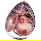 Kingdom Limited Edition (2004) von Alexander McQueen