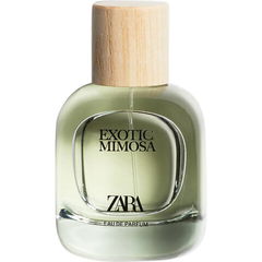 Exotic Mimosa by Zara