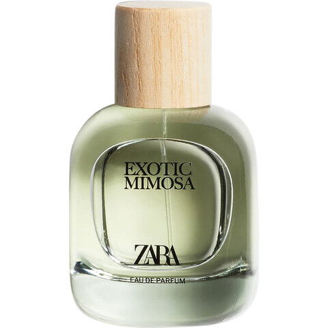 Exotic Mimosa von Zara