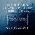Geosmin (Solid Perfume) von Osmofolia