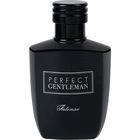 Perfect Gentleman Intense by Art & Parfum