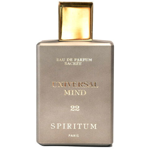 22 - Universal Mind von Spiritum