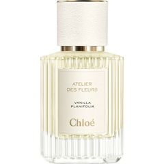 Vanilla Planifolia von Chloé
