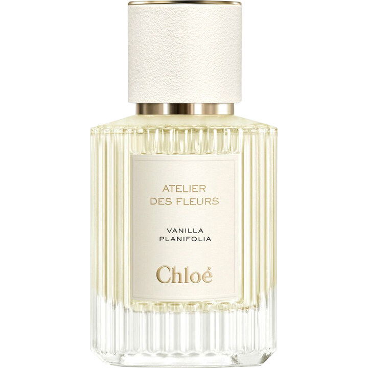 Vanilla Planifolia von Chloé