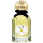 Sun Card / The Garden Collection - The Sun Card by Marissa Zappas