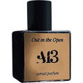 Out in the Open by A13