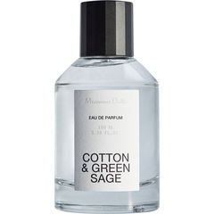 Cotton & Green Sage von Massimo Dutti