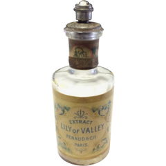 Lily of Valley von Henri Rénaud