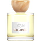 Istanbul (Eau de Parfum) by Gallivant