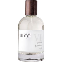 amyi VI by amyi