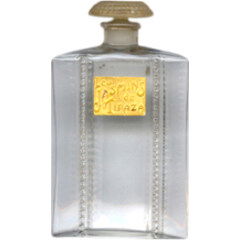 Les Jasmins de Tipaza / Jasmin de Tipaza von Salancy
