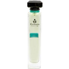 Acqua di Carthusia - Aloe Vera von Carthusia