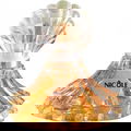Nicôle von Tri-Delta Trading Co.
