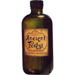 Ancient Forest by The Mindful Mushroom