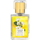 Madurai Jasmine von Forest Essentials