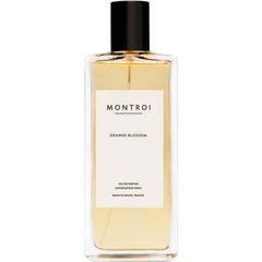 Orange Blossom by Montroi