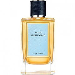 Marienbad von Prada