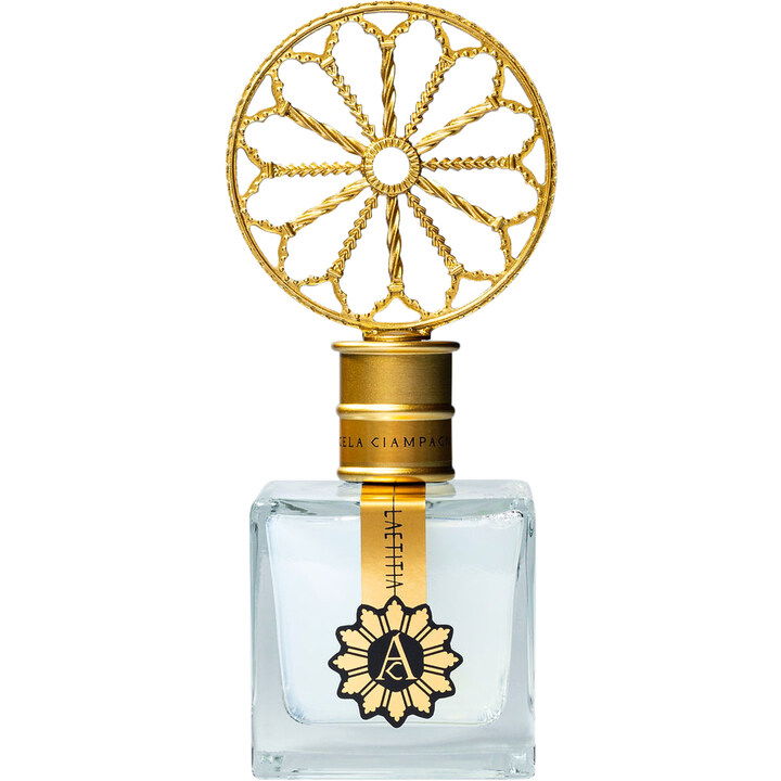 Laetitia by Angela Ciampagna