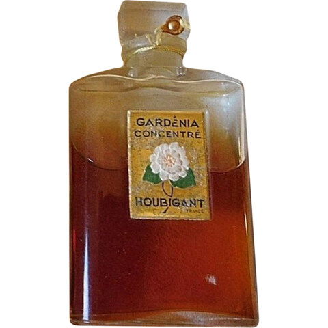 Memphis for Men by Giorgio Monti Memphis for Men by Giorgio Monti