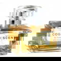 Scent 19 von Cognoscenti