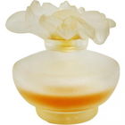 Jaune Solaire by Pupa