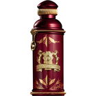 Rose Alba von Alexandre.J