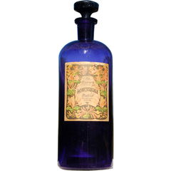 Honeysuckle von Mellier Co.