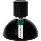 Star Trails von Siam 1928