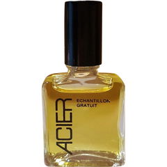 Acier by Diana de Silva