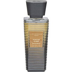 Agathis Amber von Locherber Agathis Amber von Locherber