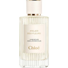 Hibiscus Abelmoschus von Chloé