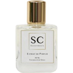 Ombre Oud von Scentiments