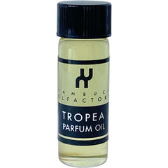 Tropea by Xambuca Olfactory