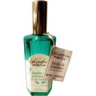 Jardin de Provence by René Garraud