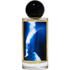 Somewhere x The Art of Elysium von Perfumehead