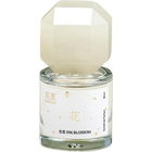 Ink Blossom / 生花 by to summer | 观夏