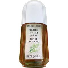 Lily of the Valley von Taylor of London