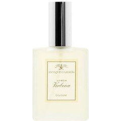 Antique Garden - Lemon Verbena by California Fleurish