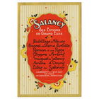 Le Secret de Dame Violette by Salancy