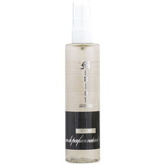 Mentor (Bodyspray) von V.S