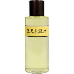 Spiga von Panama 1924