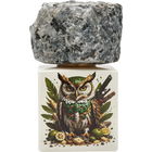 Oud Pacifidaunt / عود باسيفيدونت by Shamal Luxury