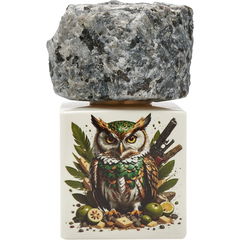 Oud Pacifidaunt / عود باسيفيدونت von Shamal Luxury