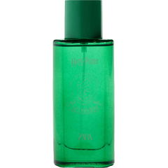 Slytherin von Zara