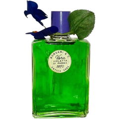 Vera Violetta di Parma von Borsari 1870