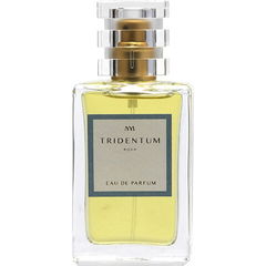 Tridentum Aqua by Tridentum Aqua