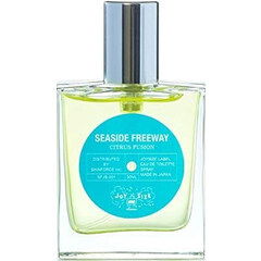 Seaside Freeway / シーサイド フリーウェイ by Joysize Label / ジョイサイズレーベル
