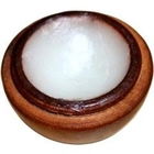 Hello the Coconut von Pacific Perfumes